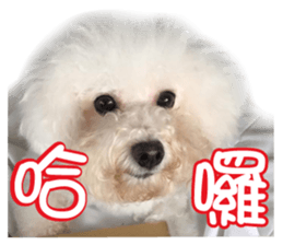 Lung Mi baby sticker #14038646