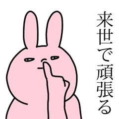 Somewhat moves a rabbit.