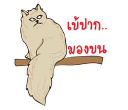 Kru-Toon ATTHAYOOTH sticker #14039785