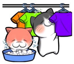 catple sticker #14040305