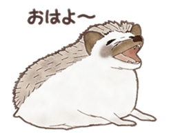 Cute hedgehog! sticker #14041462