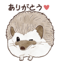 Cute hedgehog! sticker #14041464