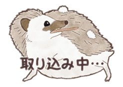 Cute hedgehog! sticker #14041470