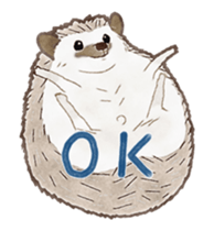 Cute hedgehog! sticker #14041473