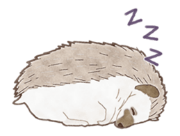 Cute hedgehog! sticker #14041475