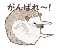 Cute hedgehog! sticker #14041476