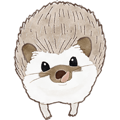 Cute hedgehog!