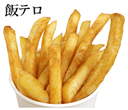 Fried potato sticker #14041901