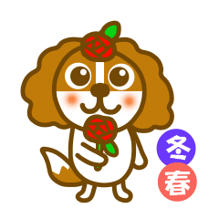 Cavalier dog winter and spring