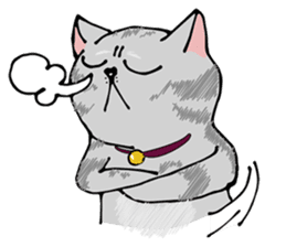 Allday & Shark sticker #14043280