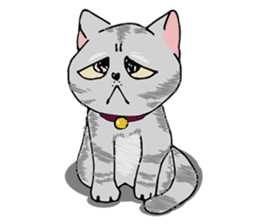 Allday & Shark sticker #14043281