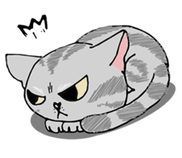 Allday & Shark sticker #14043282