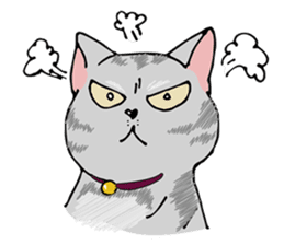 Allday & Shark sticker #14043283