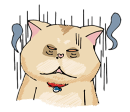 Allday & Shark sticker #14043291