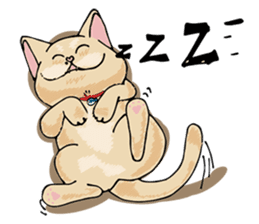 Allday & Shark sticker #14043295