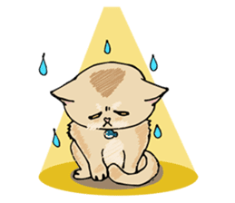 Allday & Shark sticker #14043302