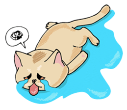 Allday & Shark sticker #14043304