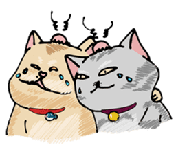 Allday & Shark sticker #14043308