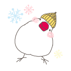 white Java sparrow (event of winter)