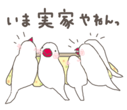 white Java sparrow (event of winter) sticker #14043578