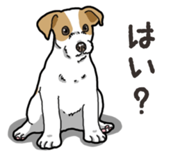 Wanko-Biyori JRT-Jack Russell terrier sticker #14043699