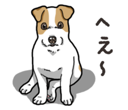 Wanko-Biyori JRT-Jack Russell terrier sticker #14043700
