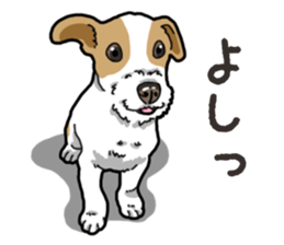 Wanko-Biyori JRT-Jack Russell terrier sticker #14043702