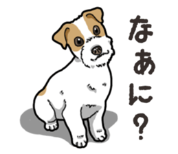 Wanko-Biyori JRT-Jack Russell terrier sticker #14043703