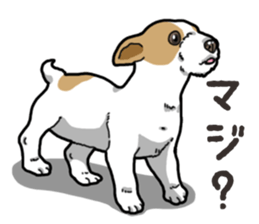 Wanko-Biyori JRT-Jack Russell terrier sticker #14043705