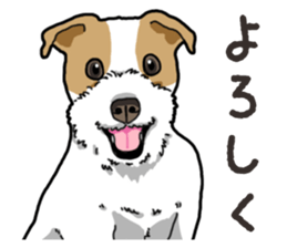 Wanko-Biyori JRT-Jack Russell terrier sticker #14043706