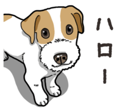 Wanko-Biyori JRT-Jack Russell terrier sticker #14043707