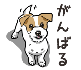 Wanko-Biyori JRT-Jack Russell terrier sticker #14043708
