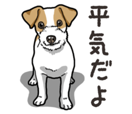 Wanko-Biyori JRT-Jack Russell terrier sticker #14043713