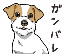 Wanko-Biyori JRT-Jack Russell terrier sticker #14043715