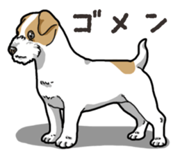 Wanko-Biyori JRT-Jack Russell terrier sticker #14043719