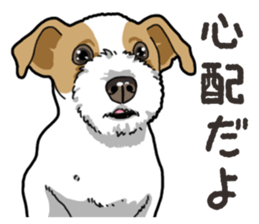 Wanko-Biyori JRT-Jack Russell terrier sticker #14043721