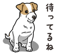 Wanko-Biyori JRT-Jack Russell terrier sticker #14043724