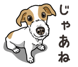 Wanko-Biyori JRT-Jack Russell terrier sticker #14043725