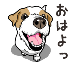 Wanko-Biyori JRT-Jack Russell terrier sticker #14043726