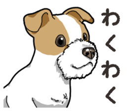 Wanko-Biyori JRT-Jack Russell terrier sticker #14043727