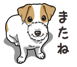 Wanko-Biyori JRT-Jack Russell terrier sticker #14043733
