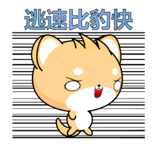 Shiba inu-Animated Stickers-Part3 sticker #14043798