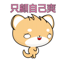 Shiba inu-Animated Stickers-Part3 sticker #14043809