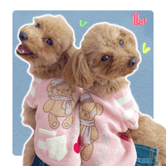 Tiara-chan and Jewel-chan