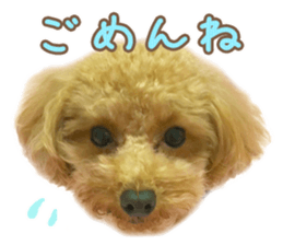 Tiara-chan and Jewel-chan sticker #14046483