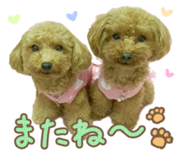 Tiara-chan and Jewel-chan sticker #14046485