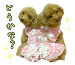 Tiara-chan and Jewel-chan sticker #14046487