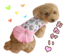 Tiara-chan and Jewel-chan sticker #14046489