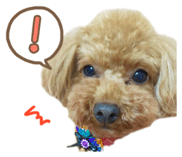 Tiara-chan and Jewel-chan sticker #14046490