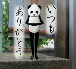 a man called PANDA soto sticker #14047334